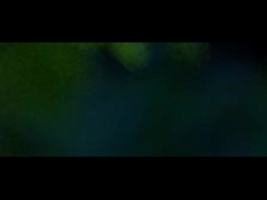 Éclairage extérieur modulaire LED de la rue 250w 500w 750w 800w